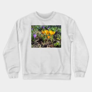 crocus group Crewneck Sweatshirt